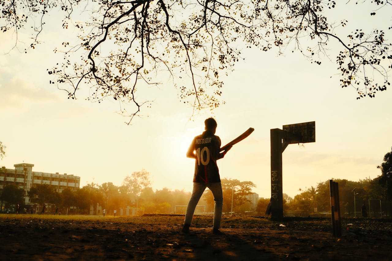 Free stock photo of backlit, bangladesh, bangladeshi